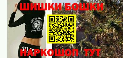 МДПВ Обь