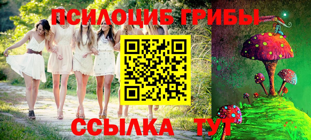 Псилоцибиновые грибы Magic Shrooms  Псилоцибиновые грибы Magic Shrooms  Борзя  Вход с VPN 
